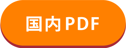 国内PDF